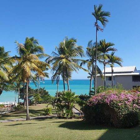 Grand Studio De 41 M², Vue Mer Et Jardin Tropical. Le Gosier  Esterno foto