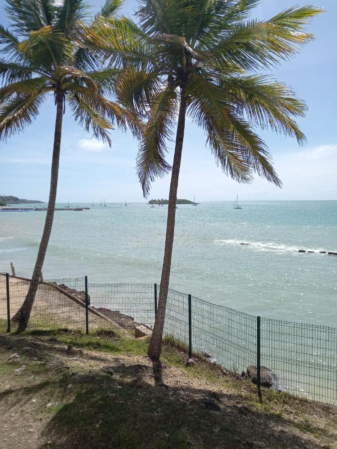 Grand Studio De 41 M², Vue Mer Et Jardin Tropical. Le Gosier  Esterno foto