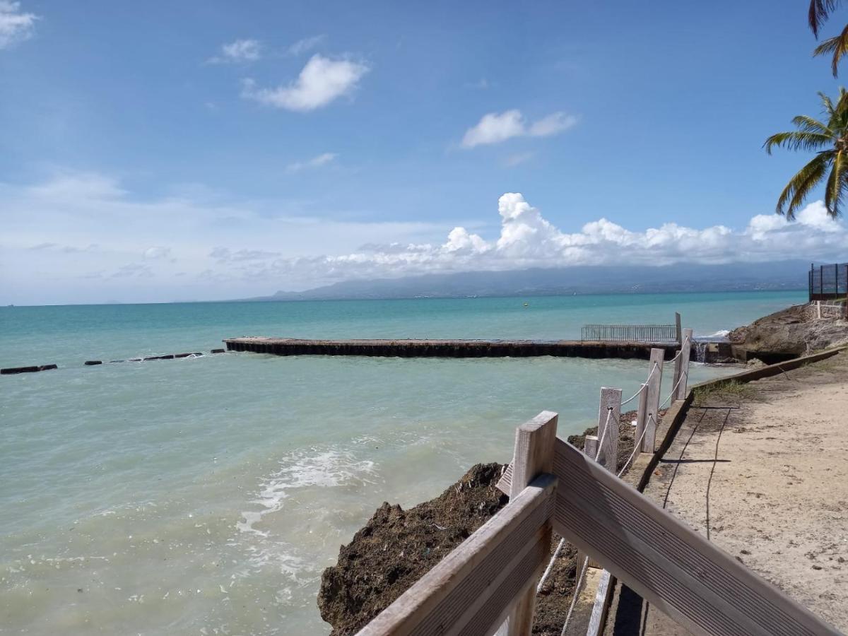 Grand Studio De 41 M², Vue Mer Et Jardin Tropical. Le Gosier  Esterno foto