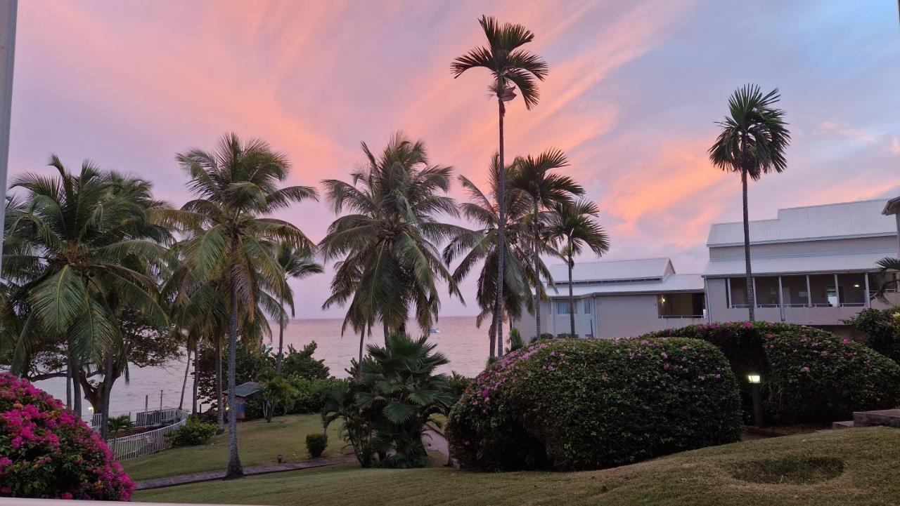 Grand Studio De 41 M², Vue Mer Et Jardin Tropical. Le Gosier  Esterno foto